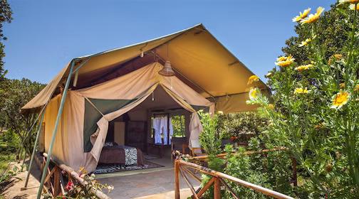 what is glamping