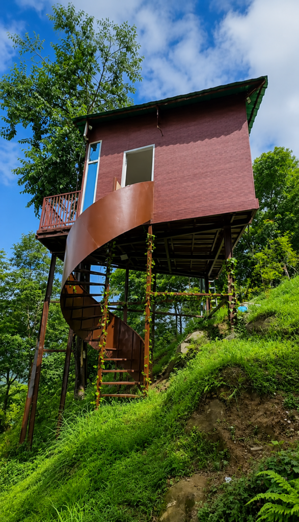 tree-house