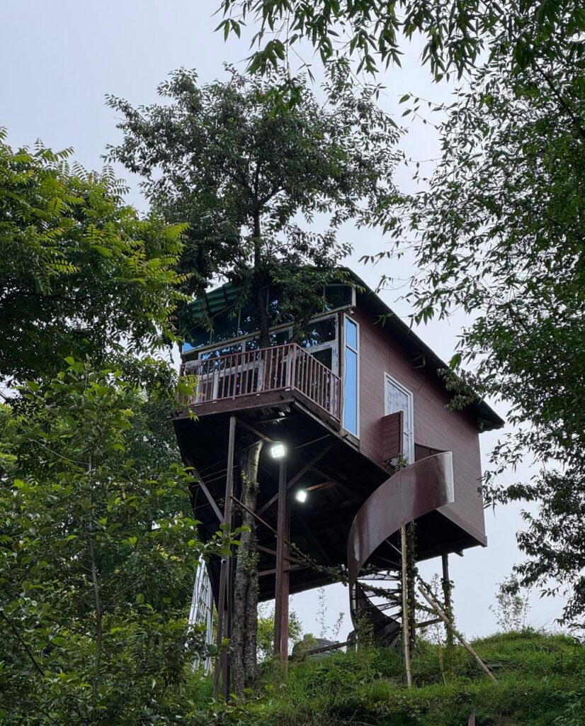 Tree-house
